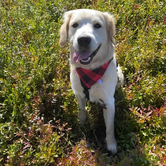 Meet your Posher, Meaghan - Picture 1 of 2